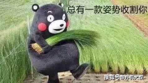 7165f36efca549039524bf0d6e041c15.jpeg 7165f36efca549039524bf0d6e041c15.jpeg